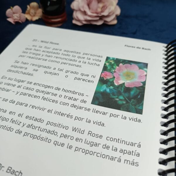 Libreta de Flores de Bach “Plantas Medicinales” - Imagen 2