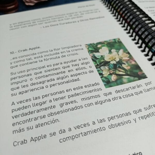 Libreta de Flores de Bach “Plantas Medicinales” - Imagen 3