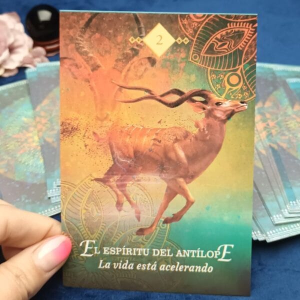 El Oraculo del Espiritu Animal - Imagen 10
